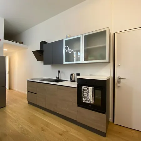 Modern 3 Bedrooms 米兰